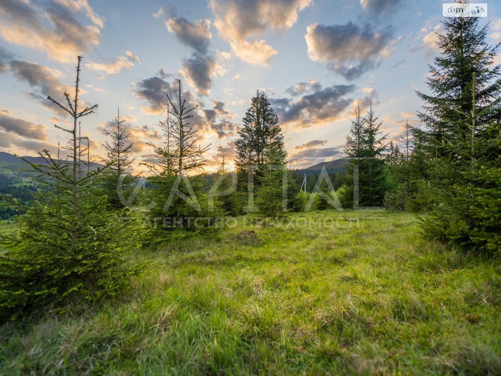 Земельна ділянка під житлову забудову в Кривопіллі, площа 120 соток фото 1