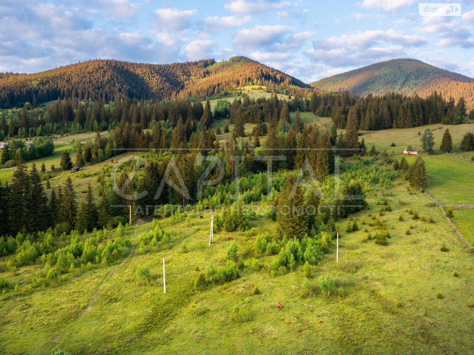 Земельна ділянка під житлову забудову в Кривопіллі, площа 120 соток фото 1