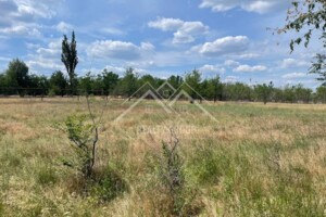 Земля под жилую застройку в Кривом Роге, район Центрально-Городской, площадь 10 соток фото 2