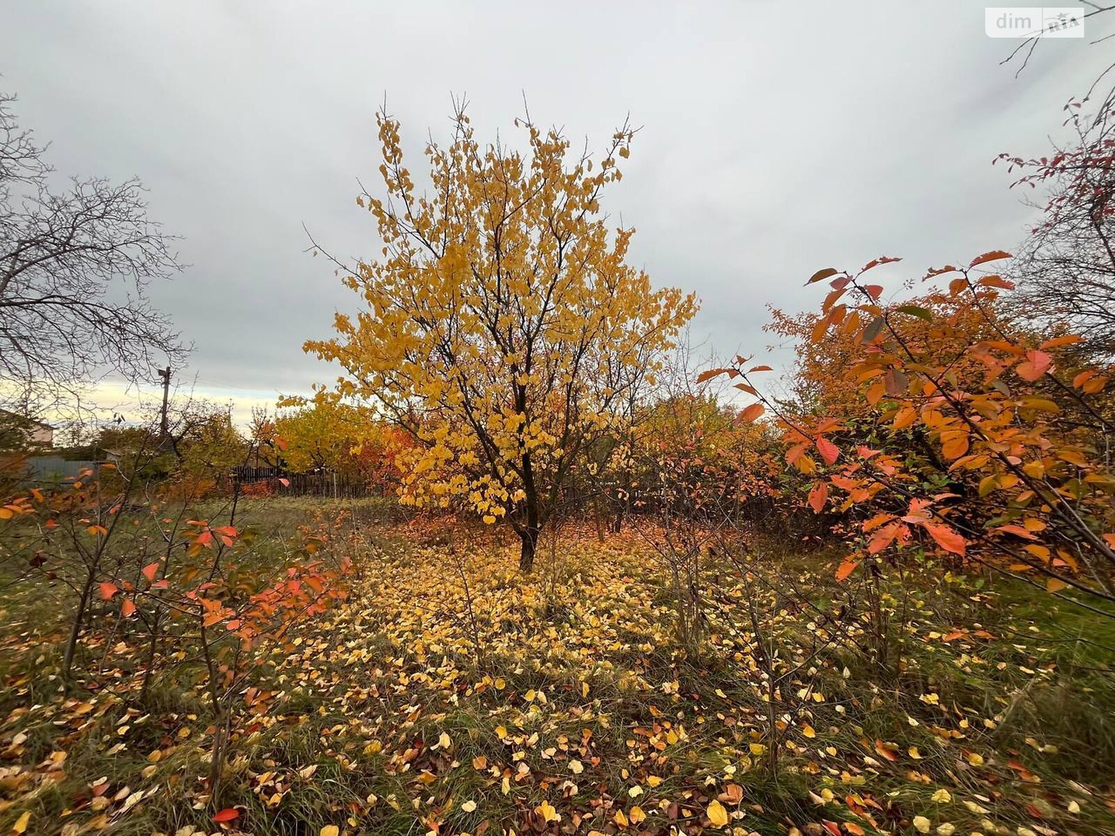 Земля під житлову забудову в Кривому Розі, район Центрально-Міський, площа 8 соток фото 1 Земля під житлову забудову в Кривому Розі, район Центрально-Міський, площа 8 соток фото 1