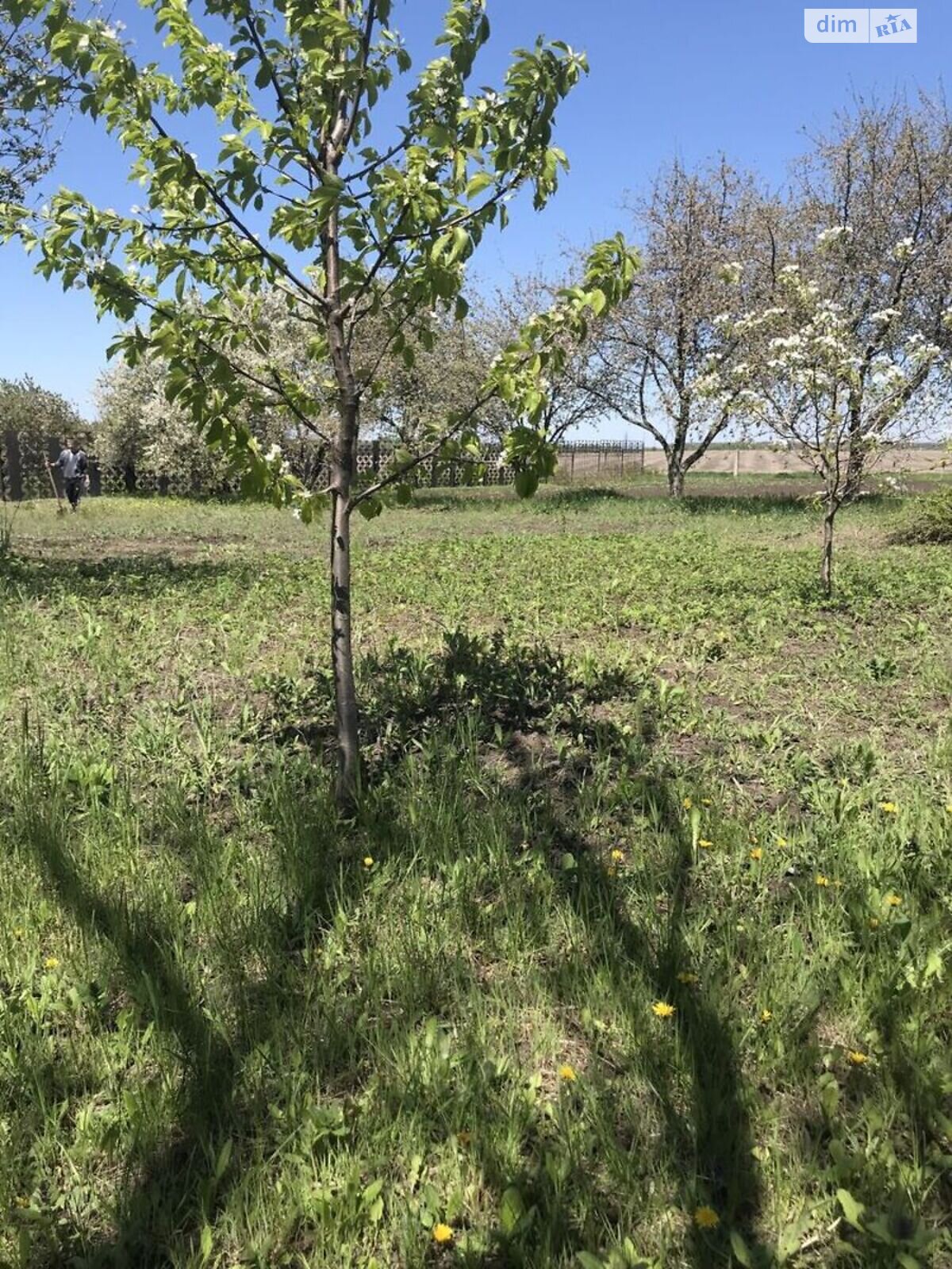 Земля під житлову забудову в Кропивницькому, район Катранівка, площа 15 соток фото 1