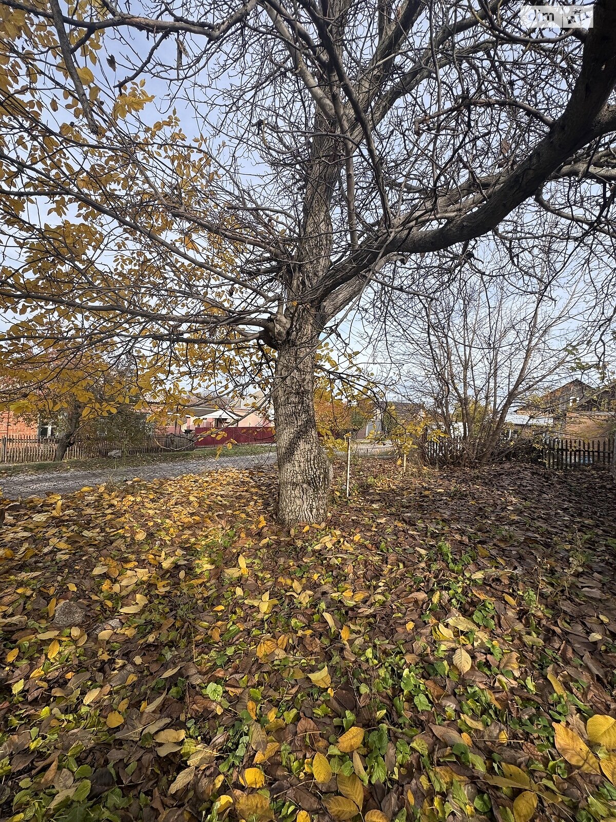 Земельна ділянка під житлову забудову в Кропивницькому, площа 8.9 сотки фото 1 Земельна ділянка під житлову забудову в Кропивницькому, площа 8.9 сотки фото 1