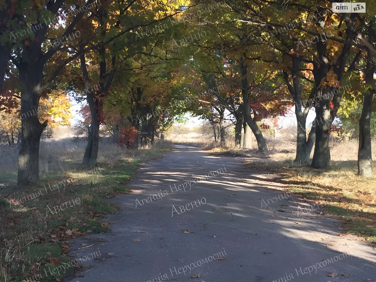 Земля под жилую застройку в Кропивницком, район Лелековка, площадь 10 соток фото 1 Земля под жилую застройку в Кропивницком, район Лелековка, площадь 10 соток фото 1