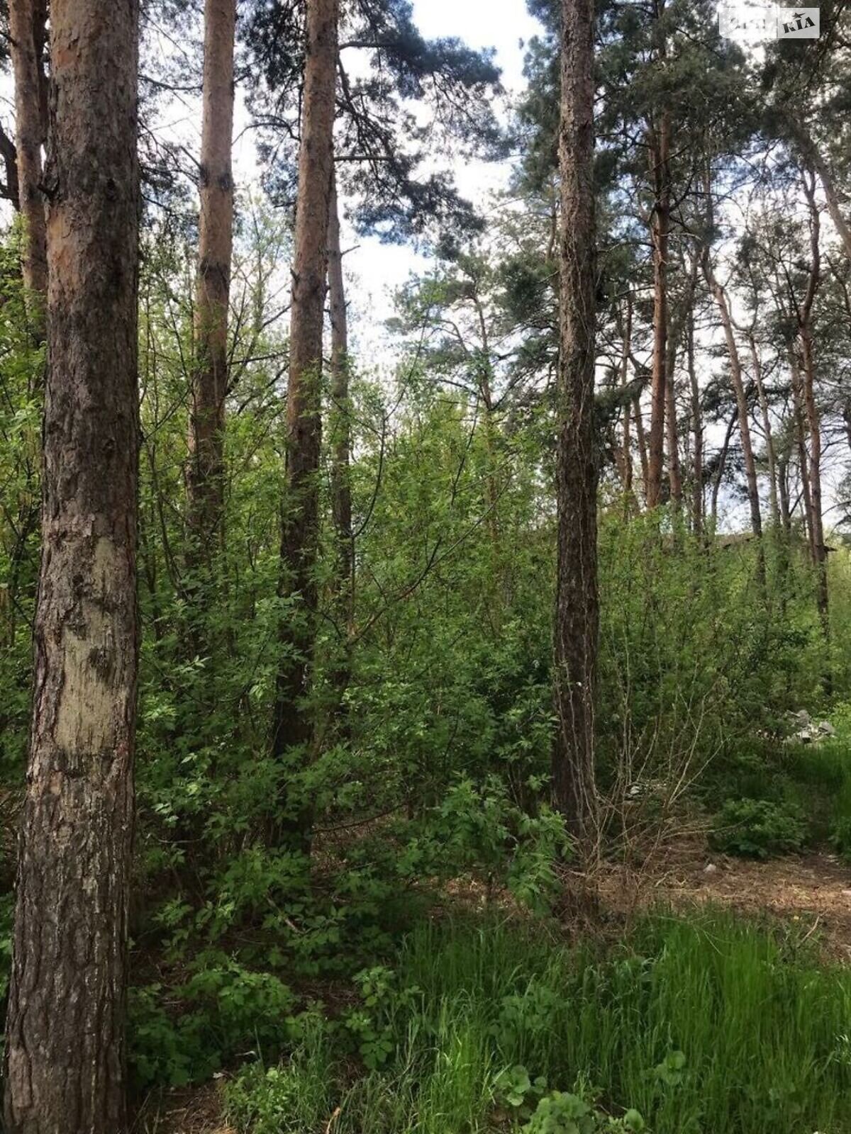 Земля под жилую застройку в Кропивницком, район Лелековка, площадь 20 соток фото 1