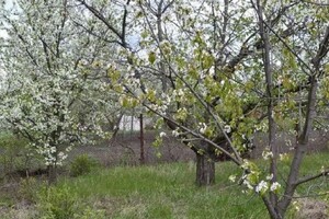 Земля под жилую застройку в Кропивницком, район Новониколаевка, площадь 12 соток фото 2