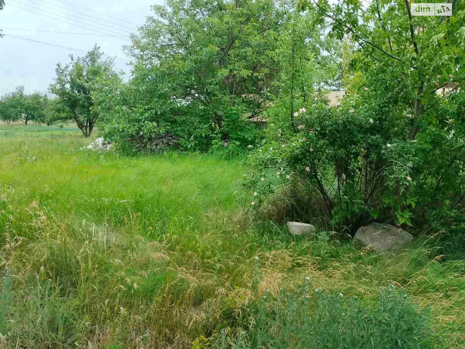 Земельна ділянка під житлову забудову в Кропивницькому, площа 12 соток фото 1 Земельна ділянка під житлову забудову в Кропивницькому, площа 12 соток фото 1