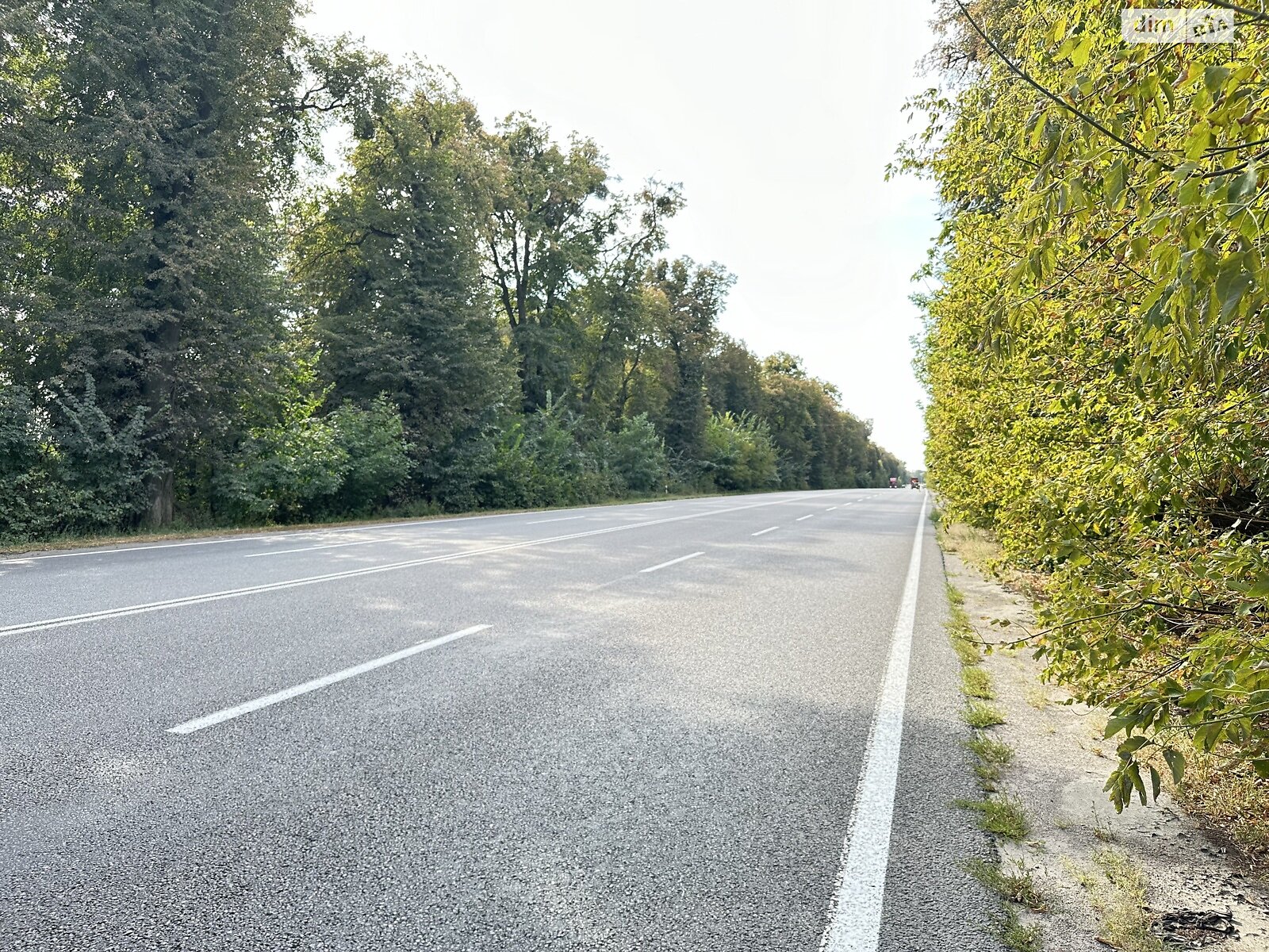 Земельна ділянка під житлову забудову в Ксаверівці, площа 16 соток фото 1