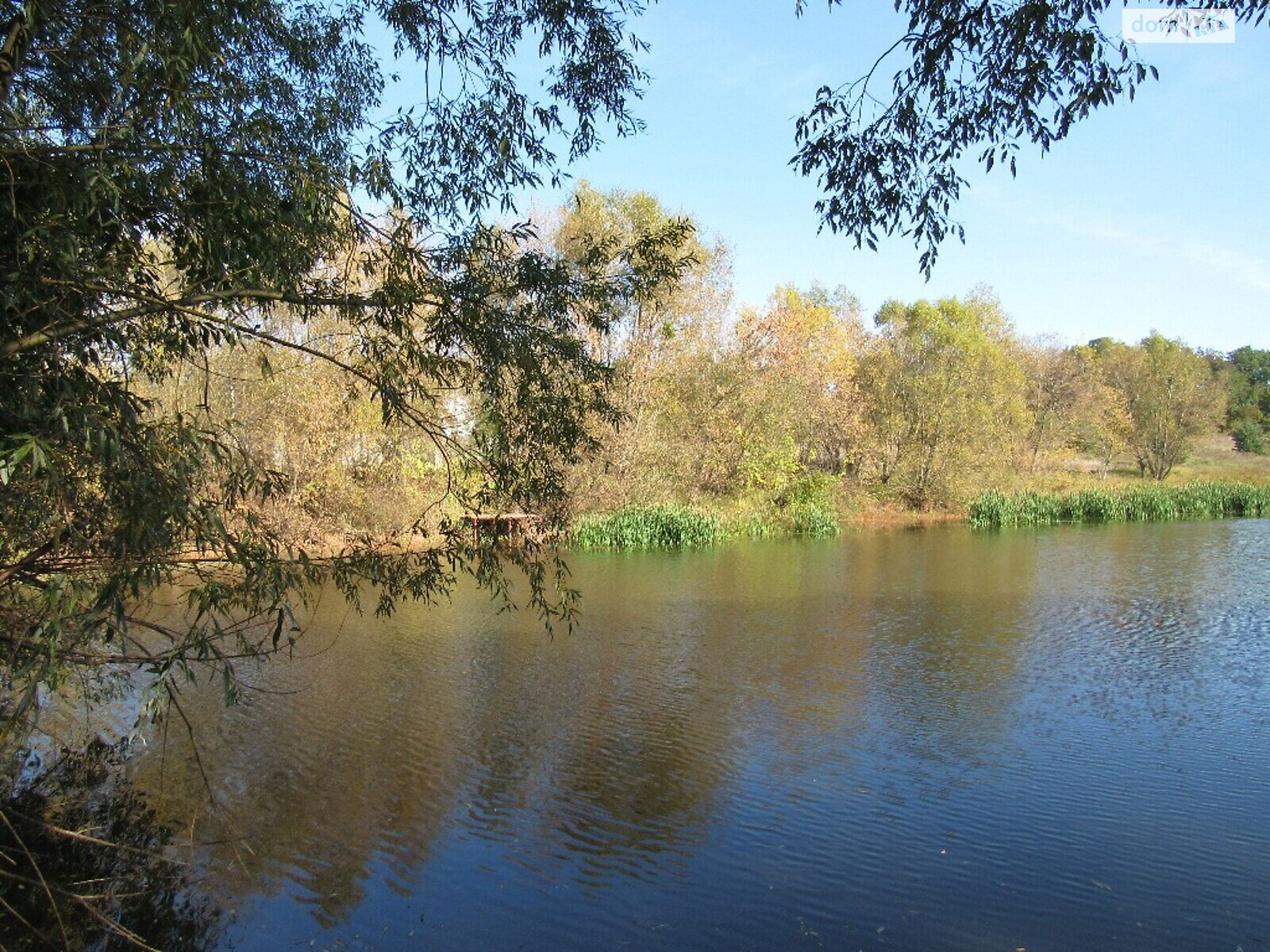 Земельна ділянка під житлову забудову в Ксаверівці, площа 20 соток фото 1