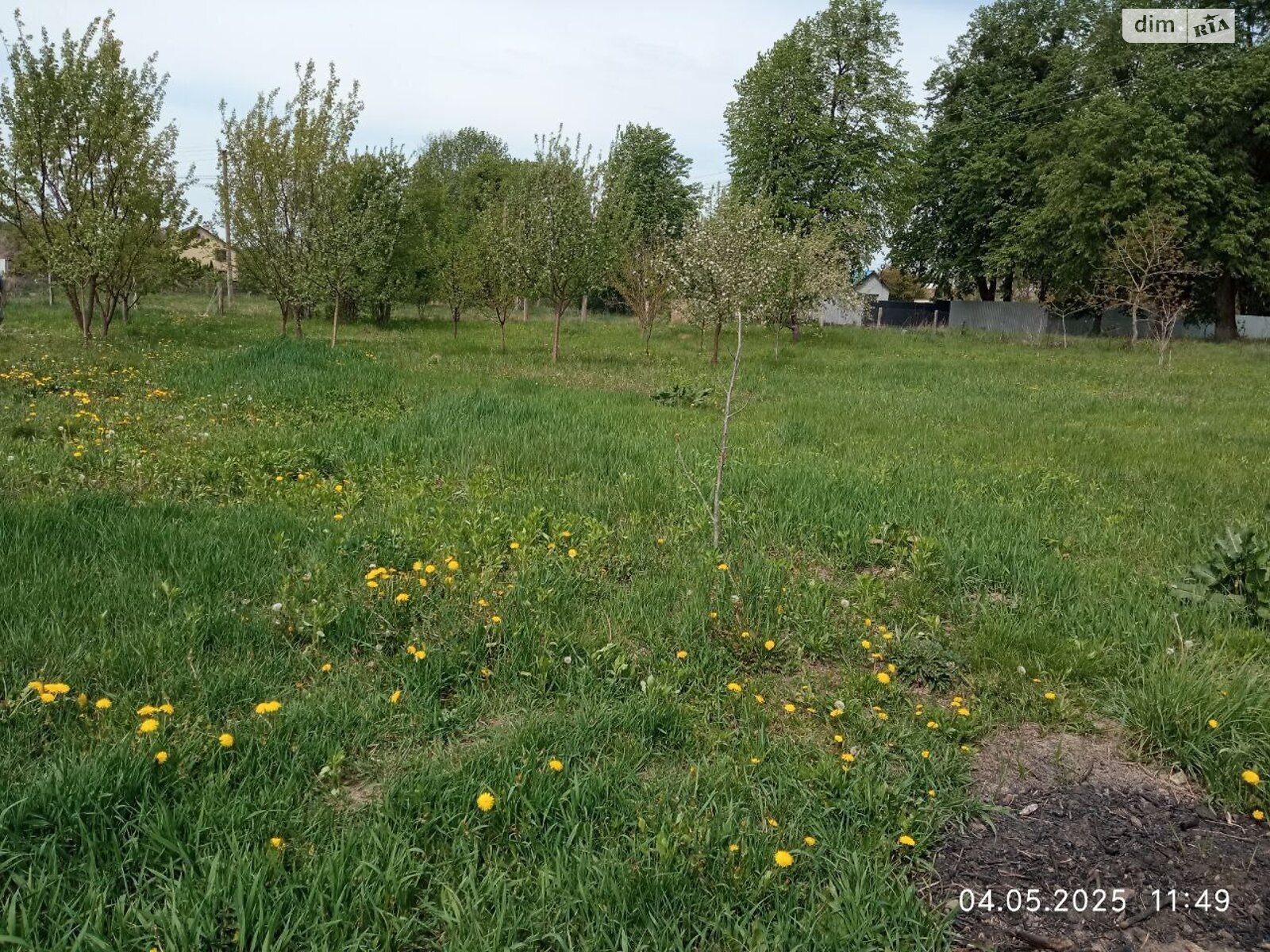 Земельна ділянка під житлову забудову в Ксаверівці, площа 11 соток фото 1 Земельна ділянка під житлову забудову в Ксаверівці, площа 11 соток фото 1