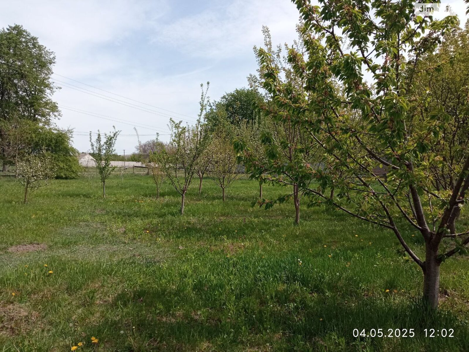 Земельна ділянка під житлову забудову в Ксаверівці, площа 11 соток фото 1 Земельна ділянка під житлову забудову в Ксаверівці, площа 11 соток фото 1