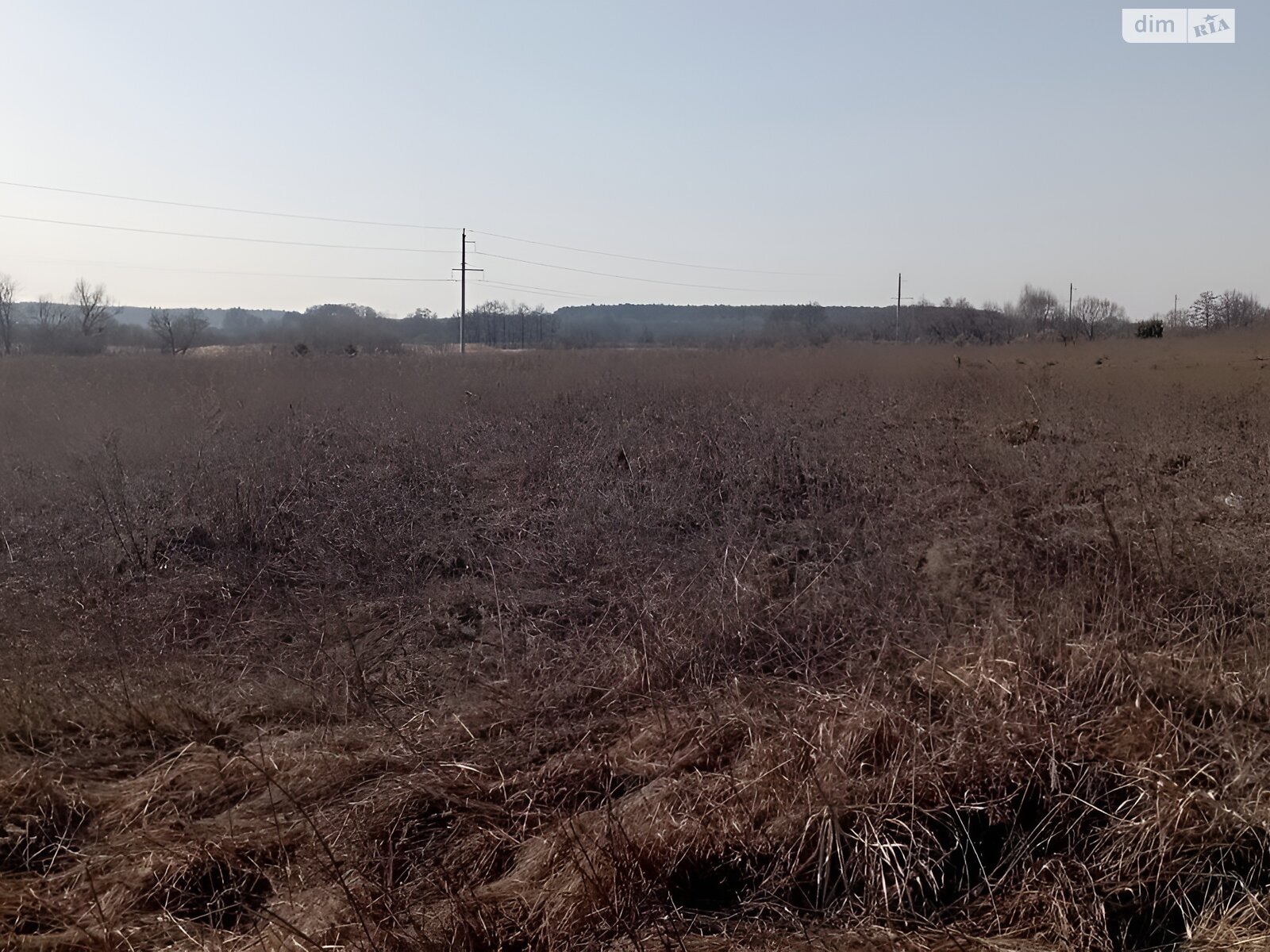 Земельна ділянка під житлову забудову в Ксаверівці, площа 14 соток фото 1 Земельна ділянка під житлову забудову в Ксаверівці, площа 14 соток фото 1