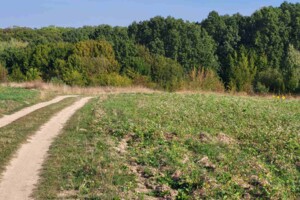 Земельный участок под жилую застройку в Ксаверовке, площадь 14 соток фото 2