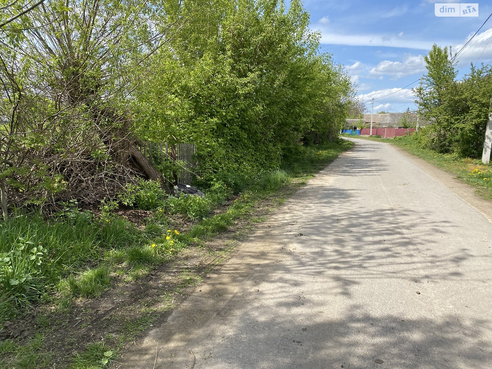 Земельна ділянка під житлову забудову в Ксаверівці, площа 35.6 сотки фото 1 Земельна ділянка під житлову забудову в Ксаверівці, площа 35.6 сотки фото 1
