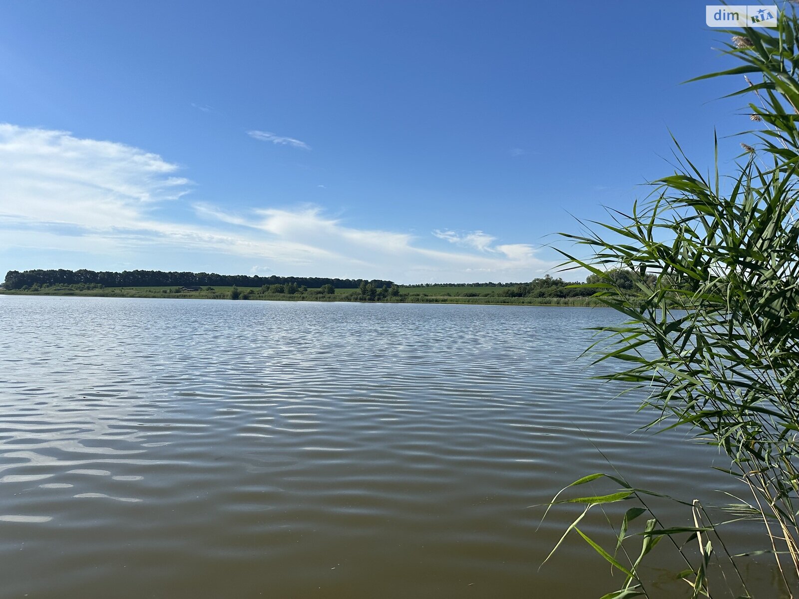 Земельна ділянка під житлову забудову в Ксаверівці, площа 14 соток фото 1