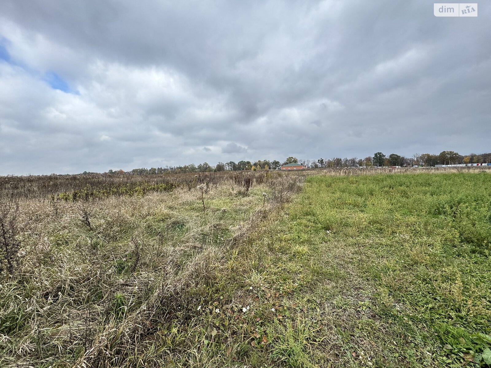 Земельный участок под жилую застройку в Ксаверовке, площадь 14 соток фото 1 Земельный участок под жилую застройку в Ксаверовке, площадь 14 соток фото 1