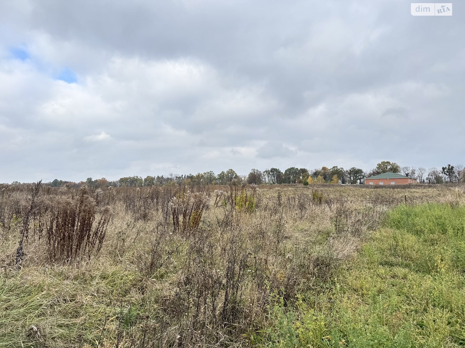 Земельный участок под жилую застройку в Ксаверовке, площадь 14 соток фото 1 Земельный участок под жилую застройку в Ксаверовке, площадь 14 соток фото 1