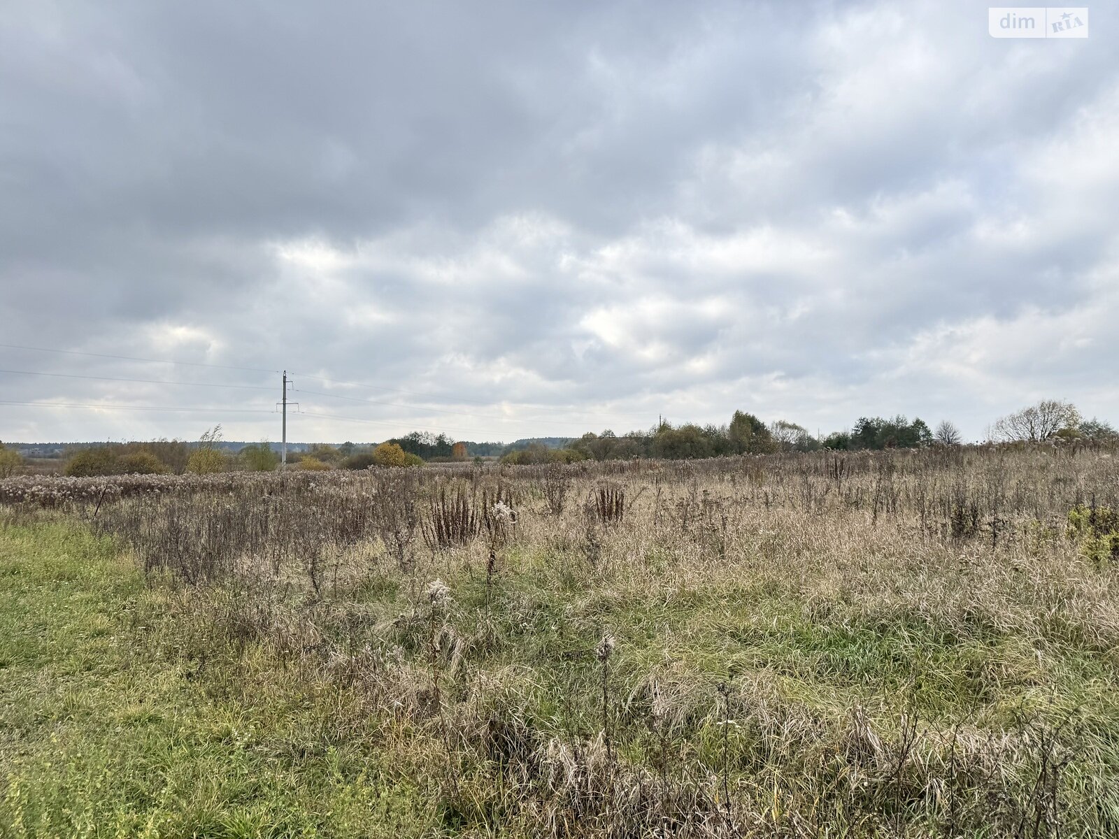 Земельный участок под жилую застройку в Ксаверовке, площадь 14 соток фото 1 Земельный участок под жилую застройку в Ксаверовке, площадь 14 соток фото 1