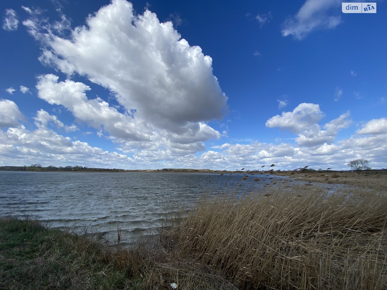 Земельна ділянка під житлову забудову в Ксаверівці, площа 14 соток фото 1