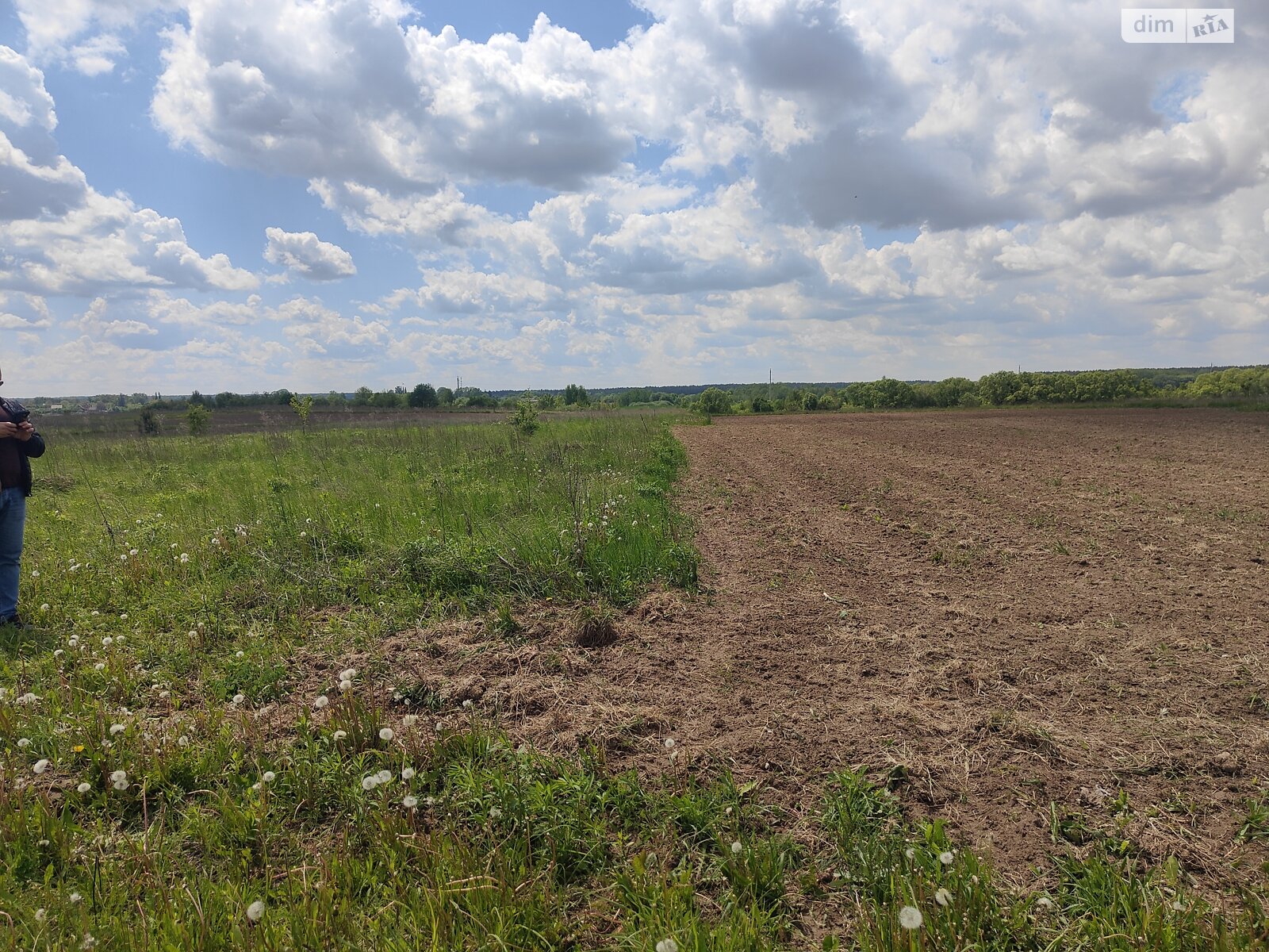Земельна ділянка під житлову забудову в Ксаверівці, площа 14 соток фото 1 Земельна ділянка під житлову забудову в Ксаверівці, площа 14 соток фото 1
