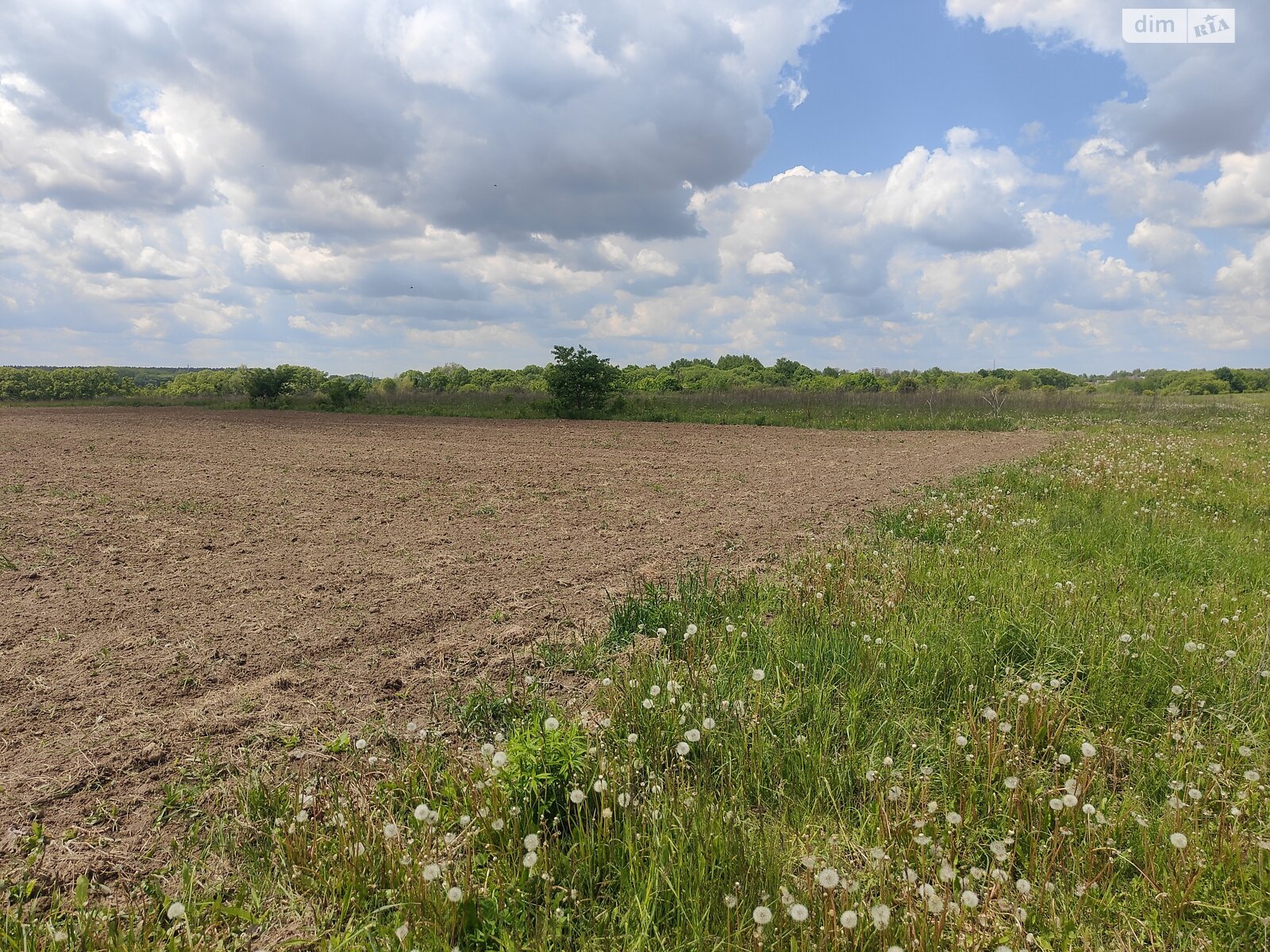 Земельна ділянка під житлову забудову в Ксаверівці, площа 14 соток фото 1 Земельна ділянка під житлову забудову в Ксаверівці, площа 14 соток фото 1