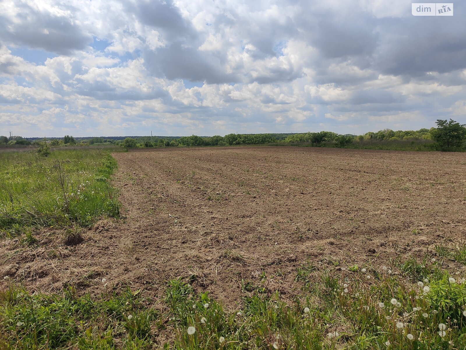 Земельна ділянка під житлову забудову в Ксаверівці, площа 14 соток фото 1 Земельна ділянка під житлову забудову в Ксаверівці, площа 14 соток фото 1