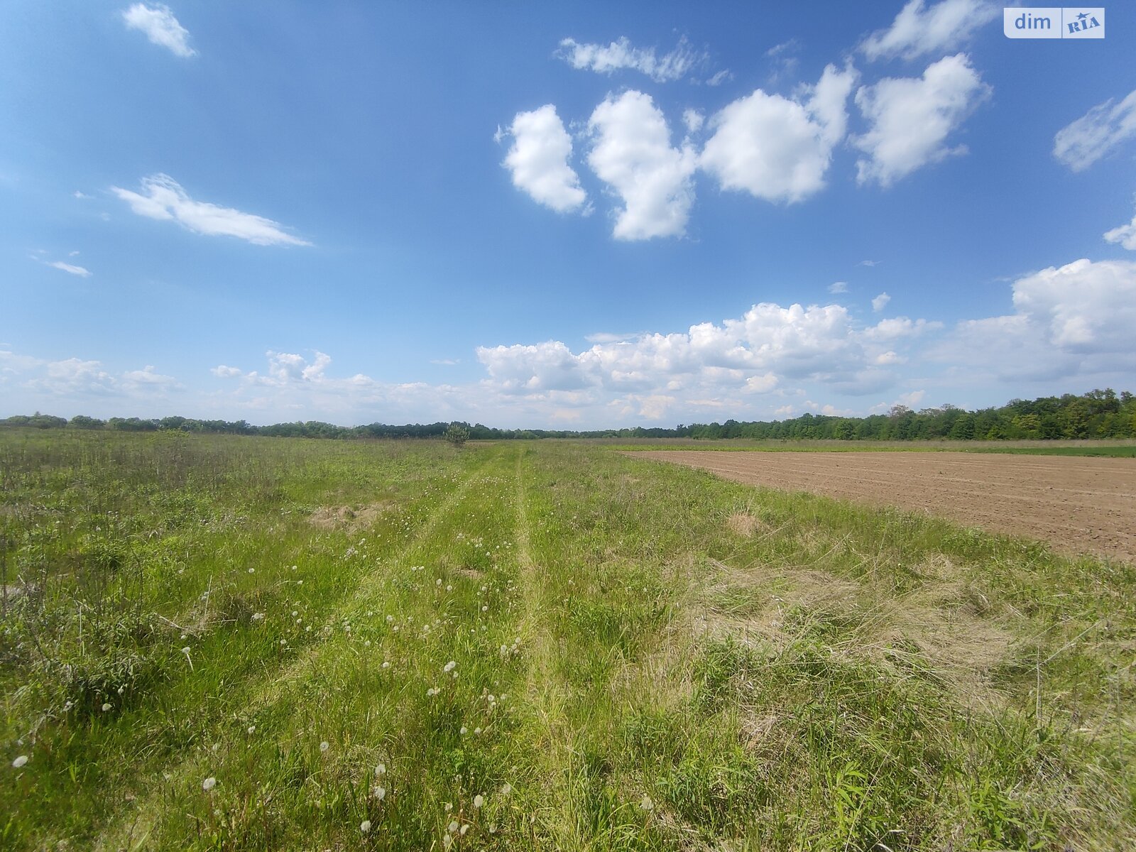 Земельна ділянка під житлову забудову в Ксаверівці, площа 14 соток фото 1 Земельна ділянка під житлову забудову в Ксаверівці, площа 14 соток фото 1