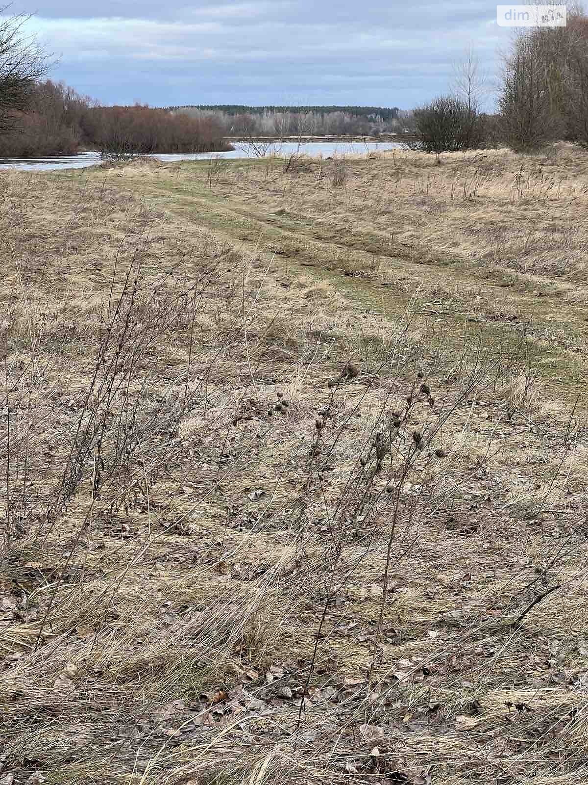 Земельна ділянка під житлову забудову в Ладинці, площа 2 Га фото 1