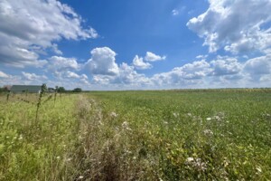 Земельна ділянка під житлову забудову в Лаврівці, площа 20 соток фото 2