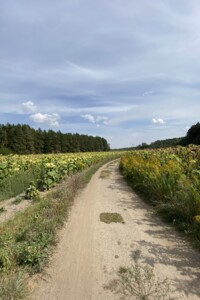 Земельна ділянка під житлову забудову в Лаврівці, площа 5 Га фото 2