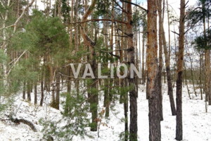 Земельна ділянка під житлову забудову в Лебедівці, площа 81.5 сотки фото 2
