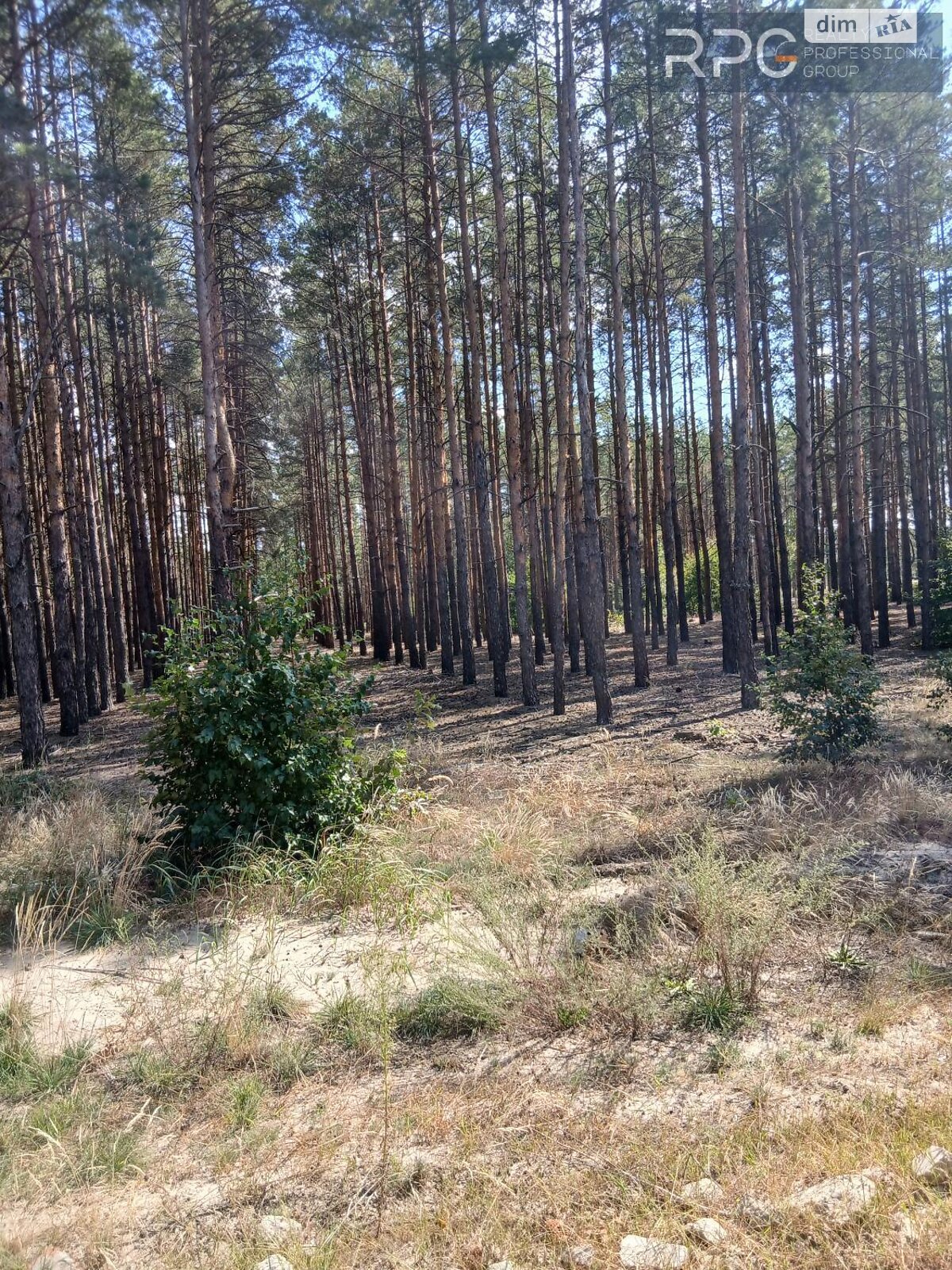 Земельна ділянка під житлову забудову в Лебедівці, площа 16 соток фото 1 Земельна ділянка під житлову забудову в Лебедівці, площа 16 соток фото 1