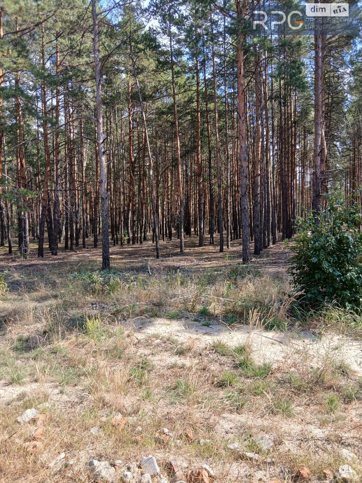Земельна ділянка під житлову забудову в Лебедівці, площа 16 соток фото 1 Земельна ділянка під житлову забудову в Лебедівці, площа 16 соток фото 1