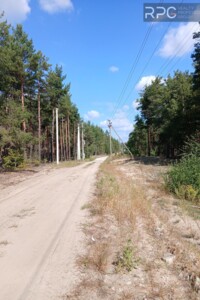 Земельна ділянка під житлову забудову в Лебедівці, площа 16 соток фото 2 Земельна ділянка під житлову забудову в Лебедівці, площа 16 соток фото 2