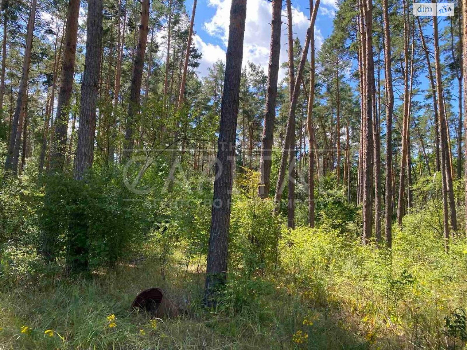 Земельный участок под жилую застройку в Лебедевке, площадь 10 соток фото 1 Земельный участок под жилую застройку в Лебедевке, площадь 10 соток фото 1