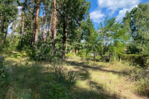 Земельный участок под жилую застройку в Лебедевке, площадь 10 соток фото 2 Земельный участок под жилую застройку в Лебедевке, площадь 10 соток фото 2