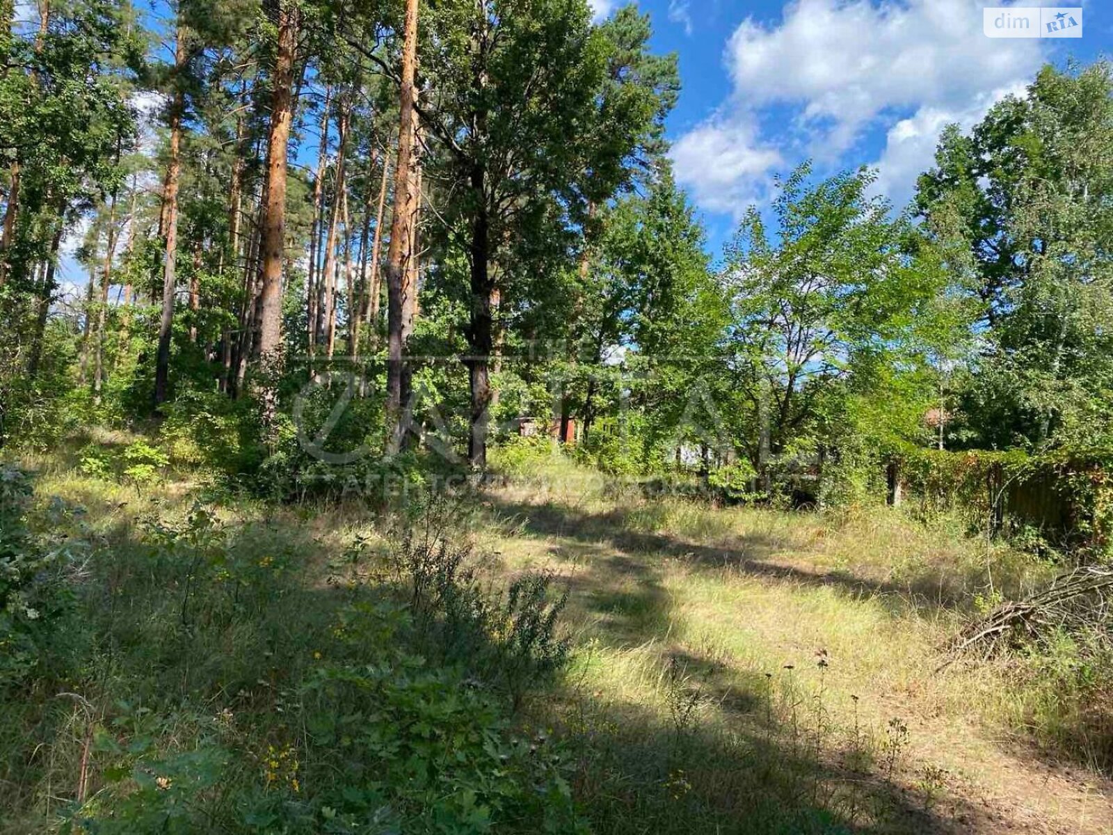 Земельный участок под жилую застройку в Лебедевке, площадь 10 соток фото 1 Земельный участок под жилую застройку в Лебедевке, площадь 10 соток фото 1