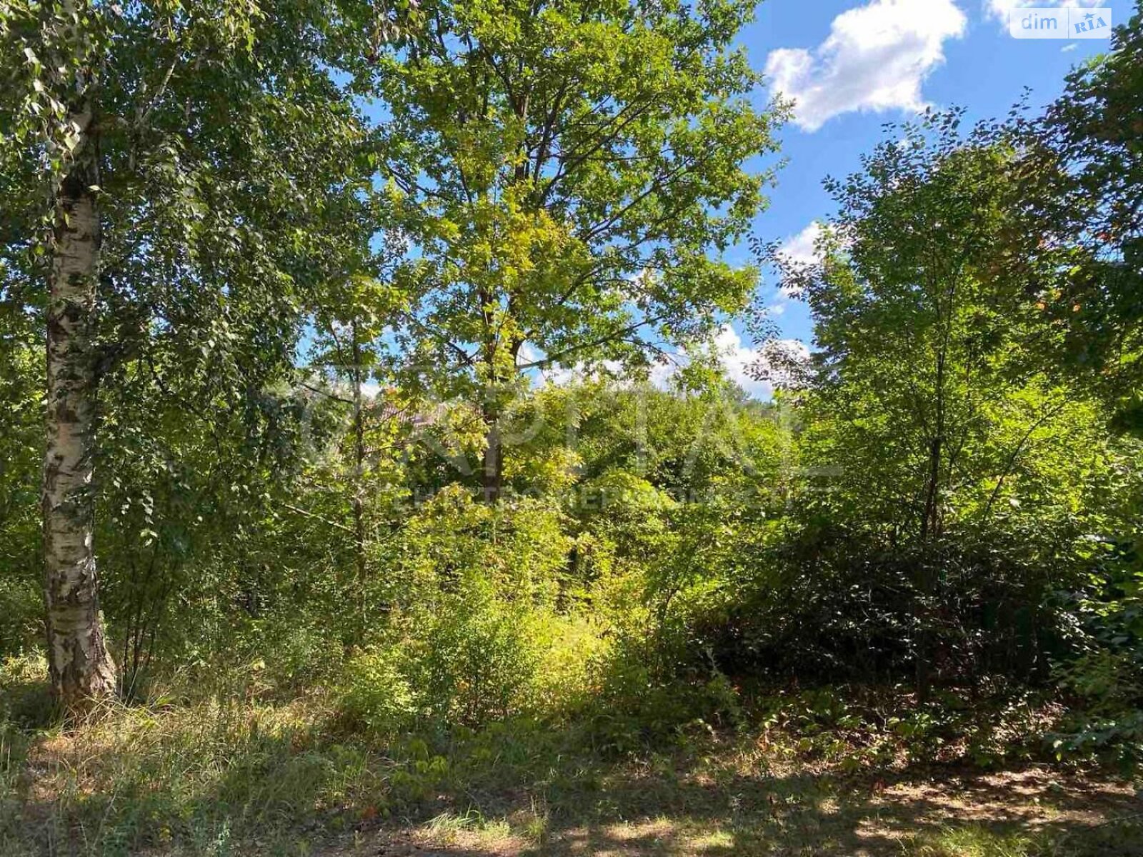 Земельный участок под жилую застройку в Лебедевке, площадь 10 соток фото 1 Земельный участок под жилую застройку в Лебедевке, площадь 10 соток фото 1