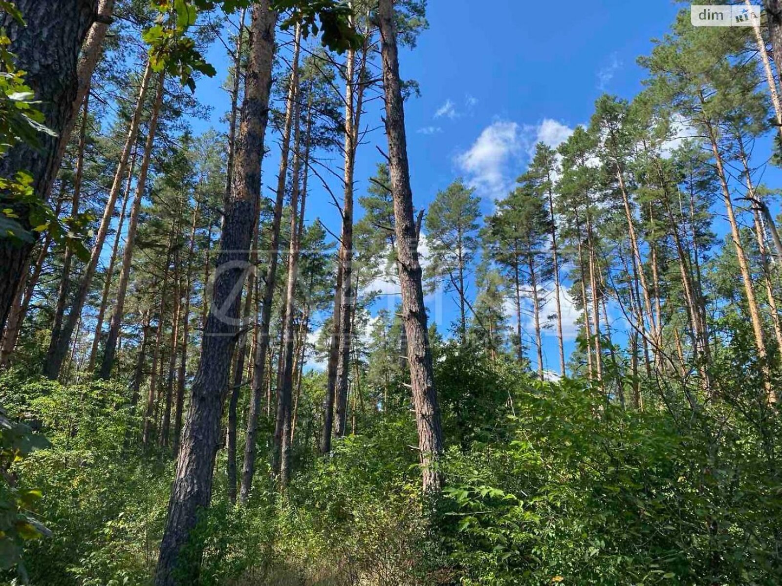 Земельный участок под жилую застройку в Лебедевке, площадь 10 соток фото 1 Земельный участок под жилую застройку в Лебедевке, площадь 10 соток фото 1