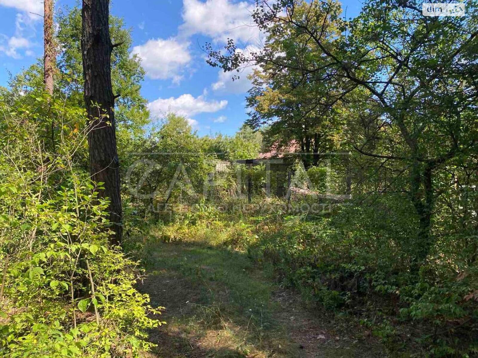 Земельный участок под жилую застройку в Лебедевке, площадь 10 соток фото 1 Земельный участок под жилую застройку в Лебедевке, площадь 10 соток фото 1