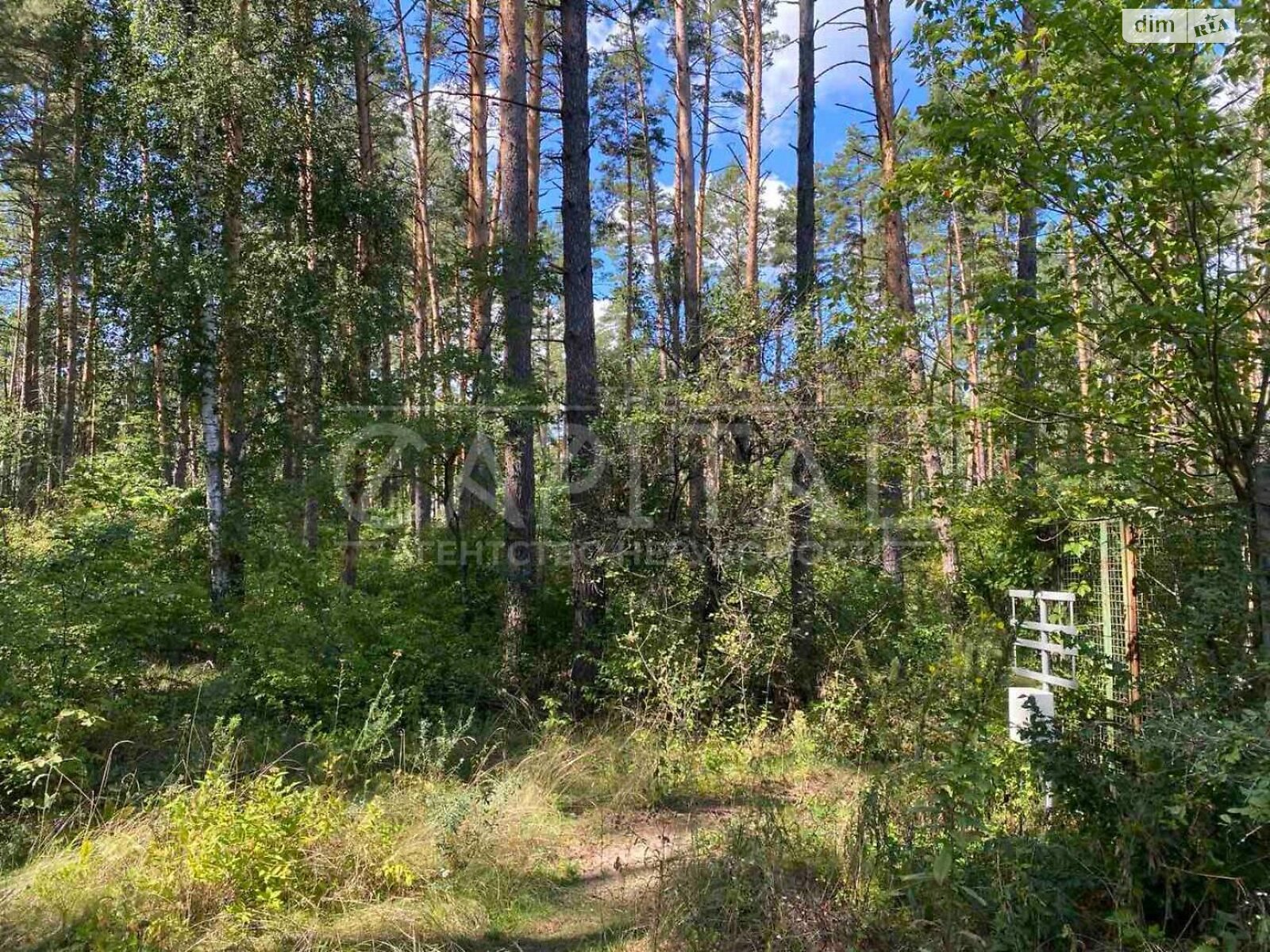 Земельный участок под жилую застройку в Лебедевке, площадь 10 соток фото 1 Земельный участок под жилую застройку в Лебедевке, площадь 10 соток фото 1