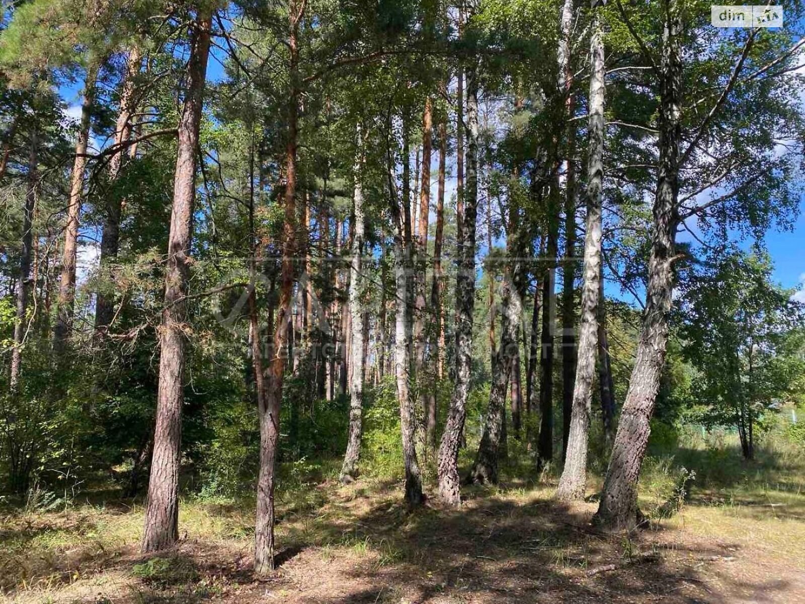 Земельный участок под жилую застройку в Лебедевке, площадь 10 соток фото 1 Земельный участок под жилую застройку в Лебедевке, площадь 10 соток фото 1