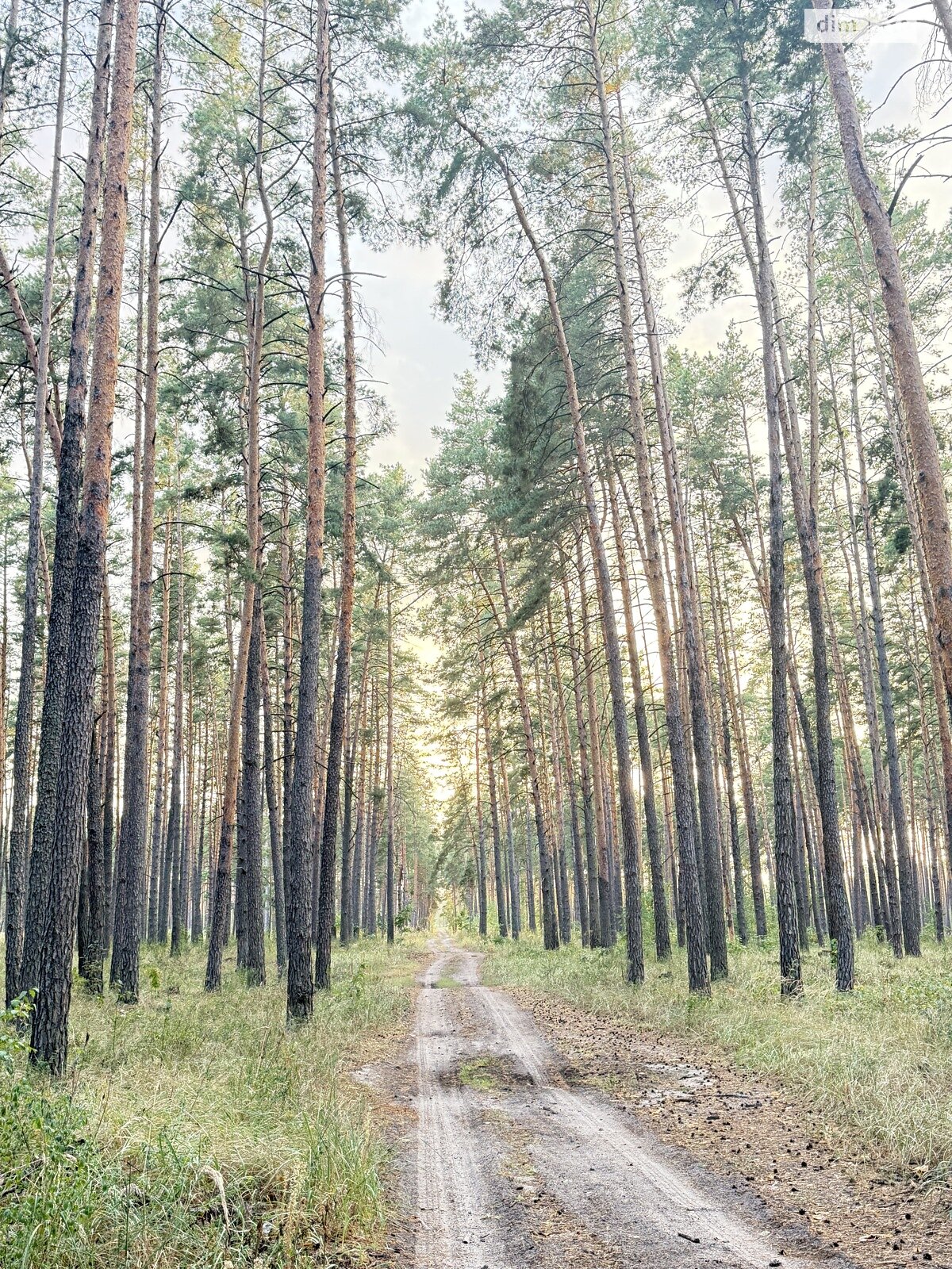 Земельный участок под жилую застройку в Лебедевке, площадь 9 соток фото 1