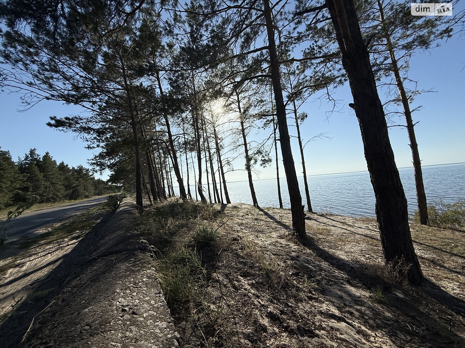 Земельный участок под жилую застройку в Лебедевке, площадь 9 соток фото 1