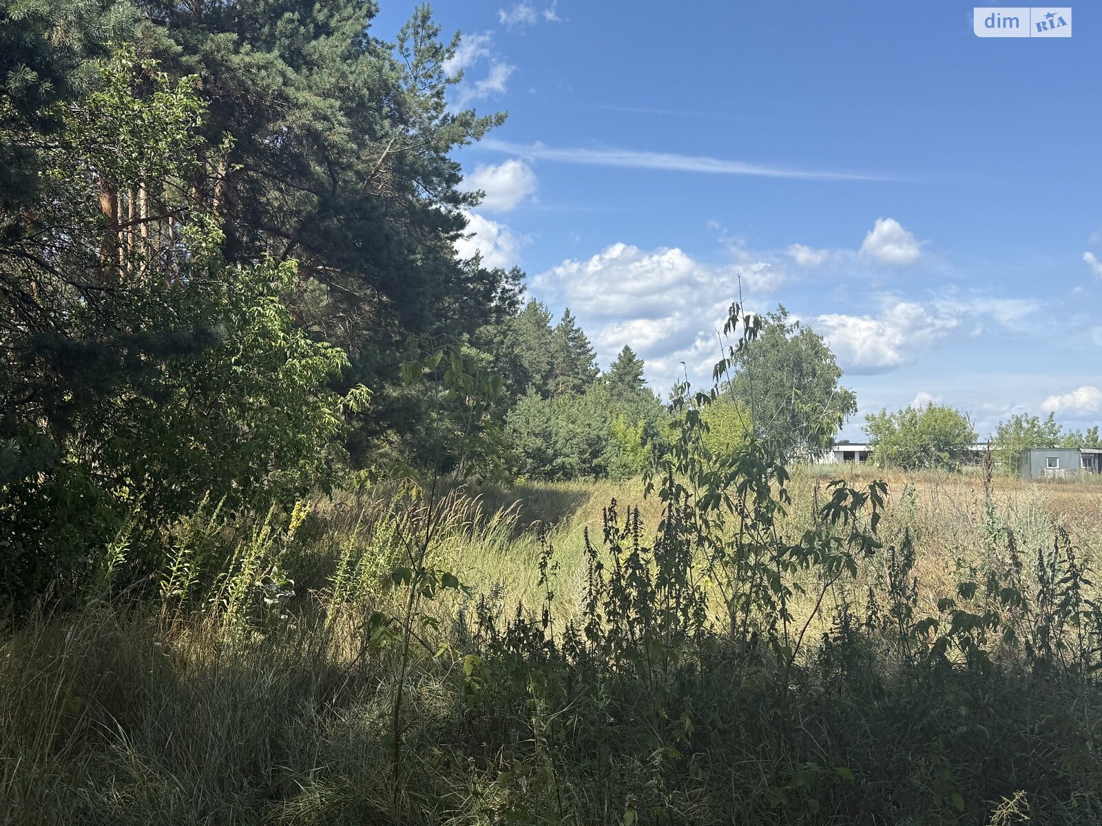 Земельный участок под жилую застройку в Лебедевке, площадь 9 соток фото 1