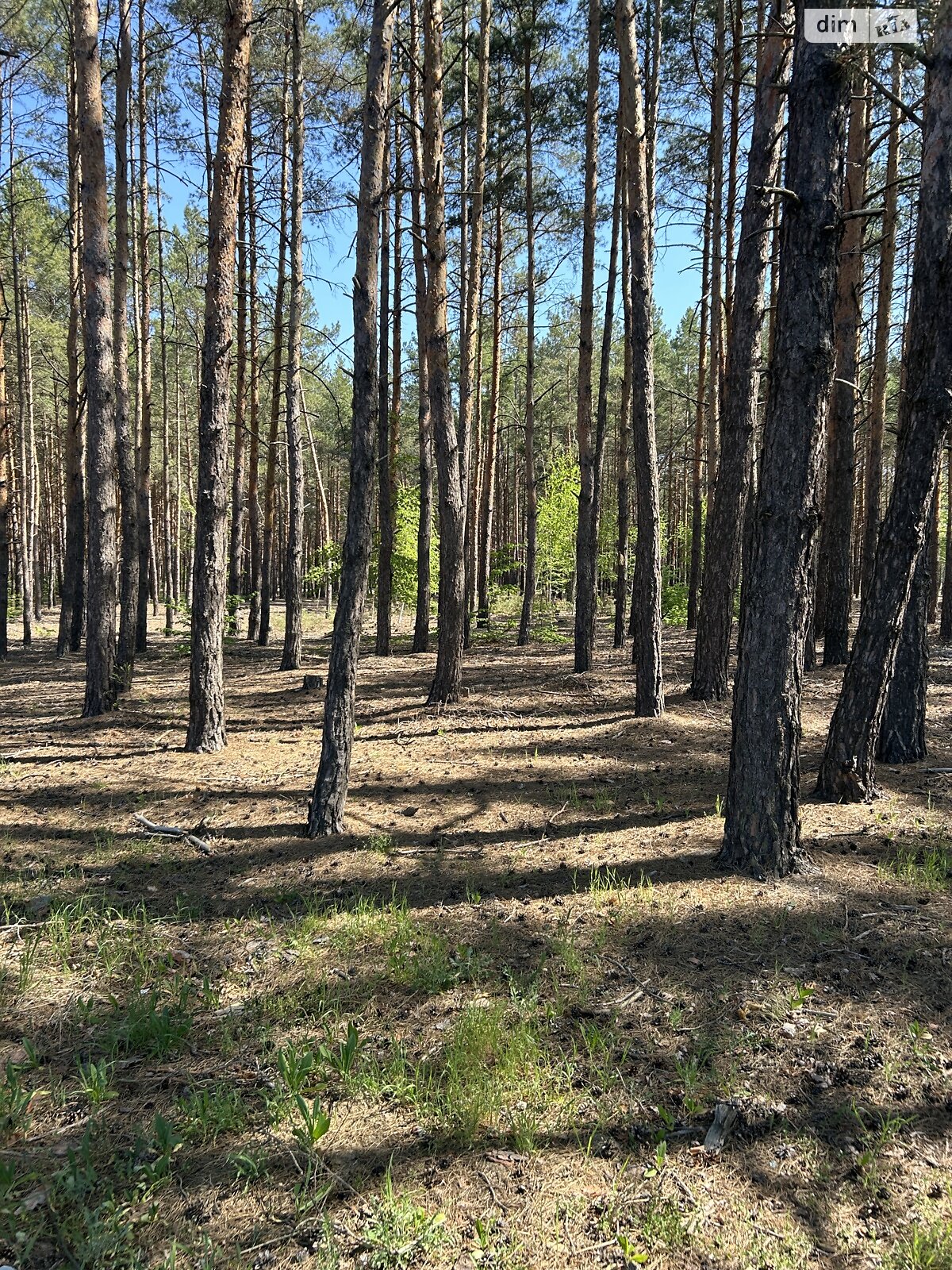 Земельна ділянка під житлову забудову в Лебедівці, площа 12 соток фото 1 Земельна ділянка під житлову забудову в Лебедівці, площа 12 соток фото 1