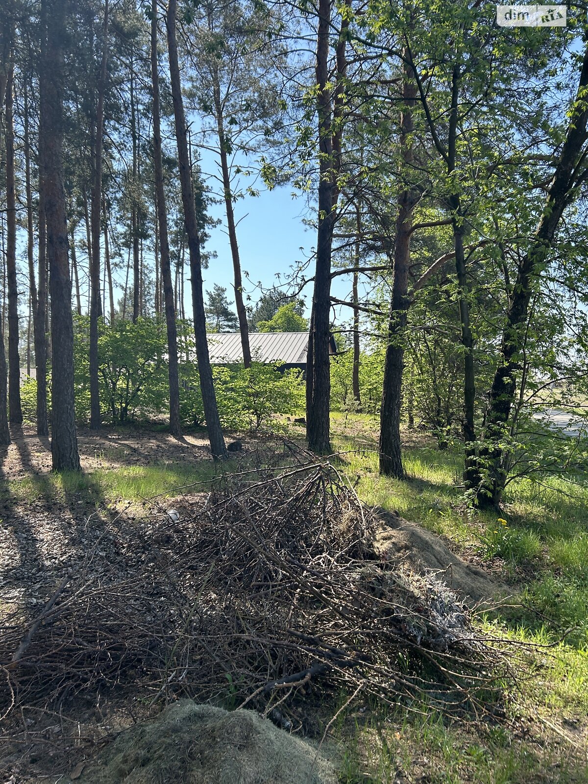 Земельна ділянка під житлову забудову в Лебедівці, площа 12 соток фото 1 Земельна ділянка під житлову забудову в Лебедівці, площа 12 соток фото 1