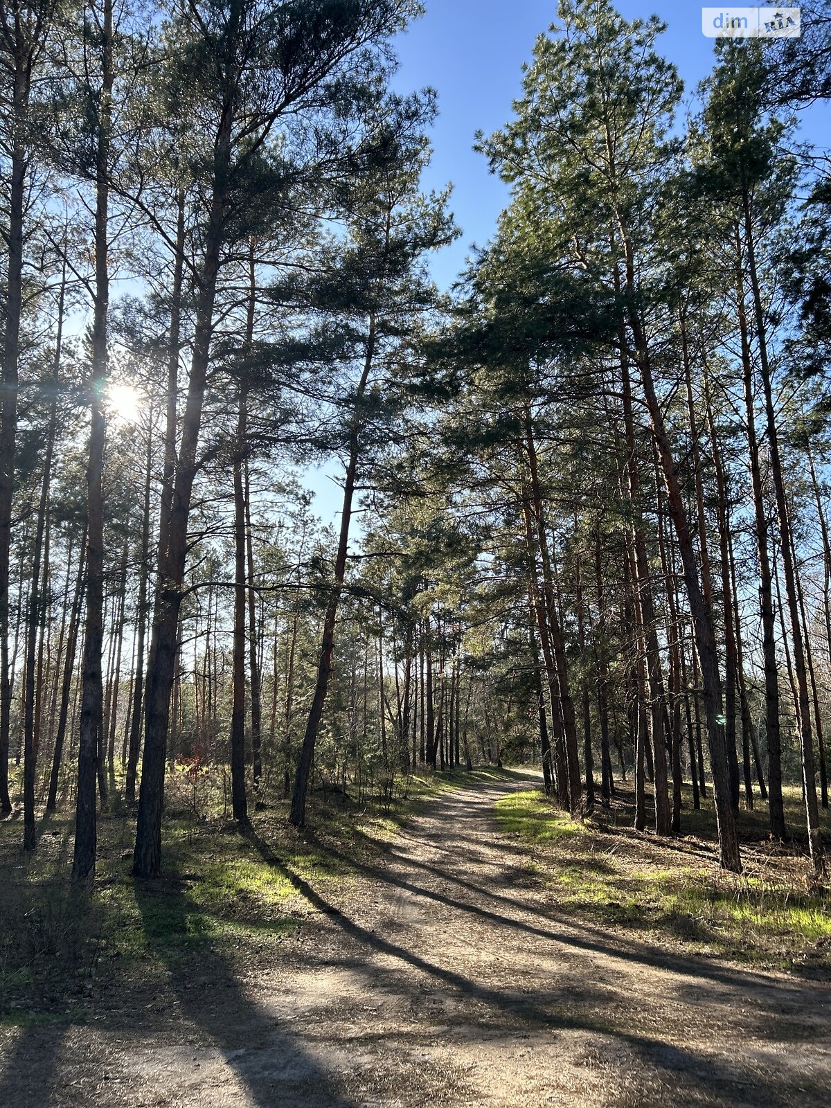 Земельна ділянка під житлову забудову в Лебедівці, площа 12 соток фото 1 Земельна ділянка під житлову забудову в Лебедівці, площа 12 соток фото 1
