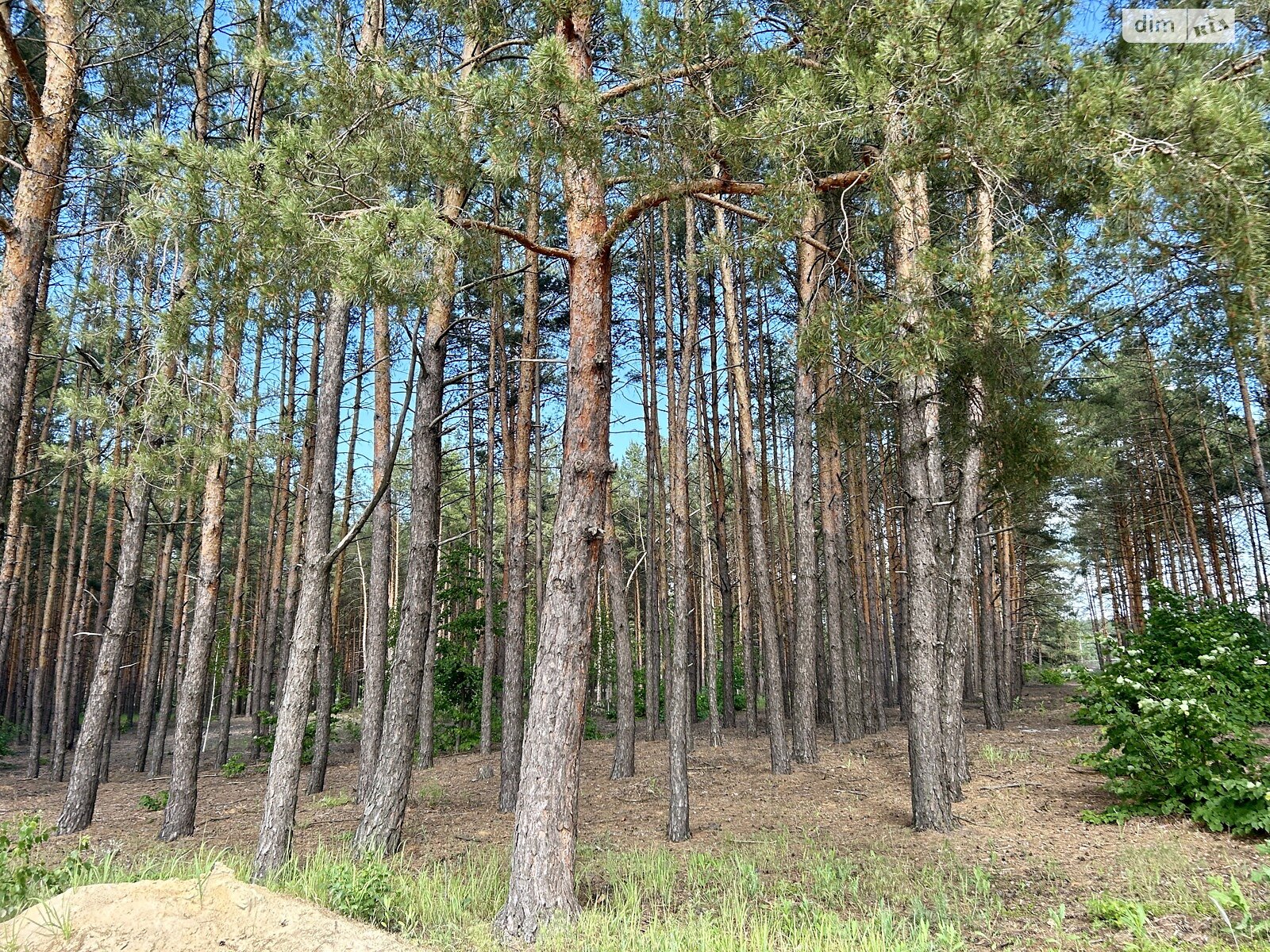 Земельна ділянка під житлову забудову в Лебедівці, площа 12 соток фото 1 Земельна ділянка під житлову забудову в Лебедівці, площа 12 соток фото 1