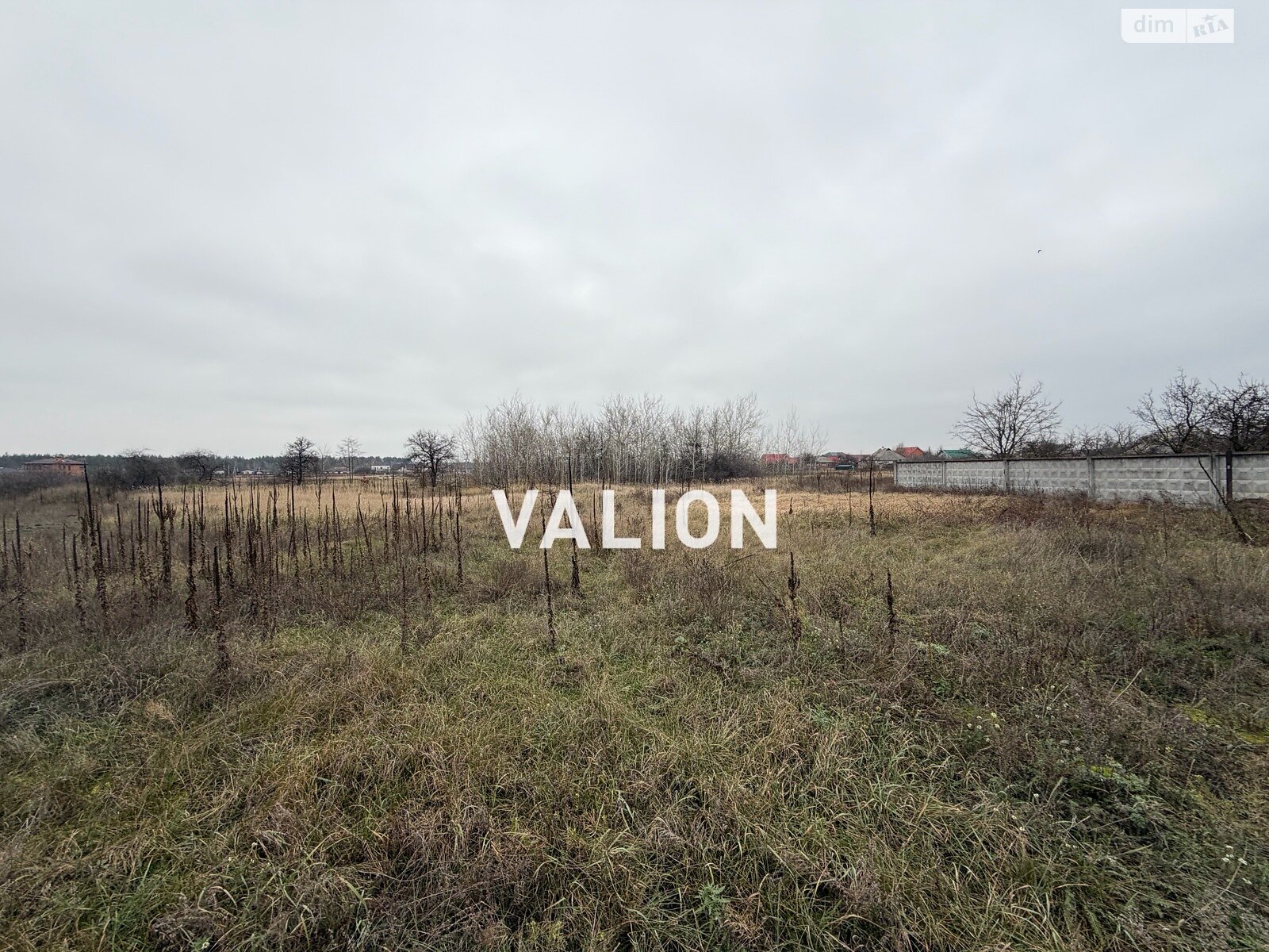 Земельна ділянка під житлову забудову в Лебедівці, площа 75.6 сотки фото 1