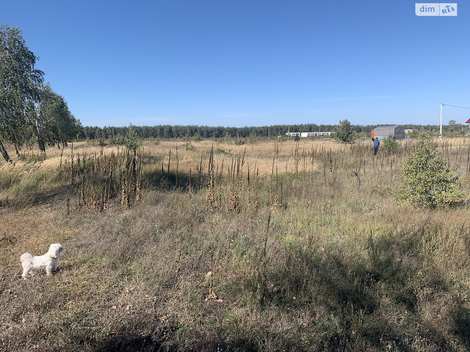 Земельный участок под жилую застройку в Лебедевке, площадь 22 сотки фото 1 Земельный участок под жилую застройку в Лебедевке, площадь 22 сотки фото 1